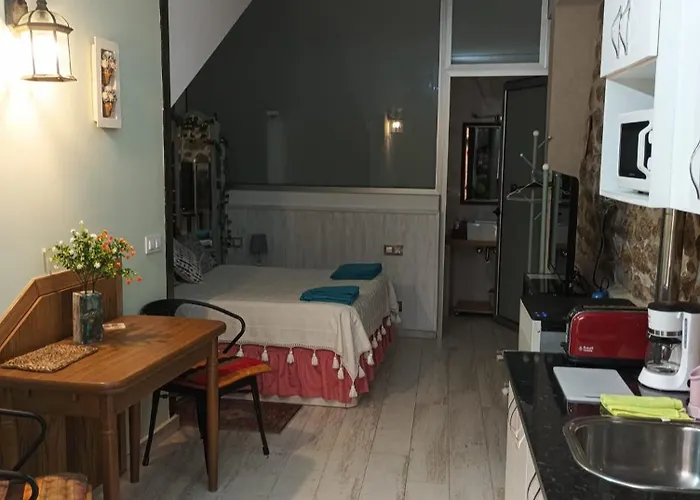 Apartamento Estudio As Andurinas